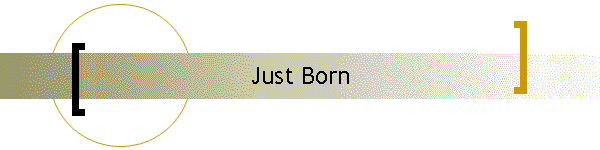Just Born