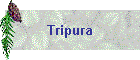 Tripura